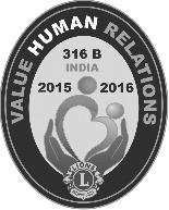 Logo 4